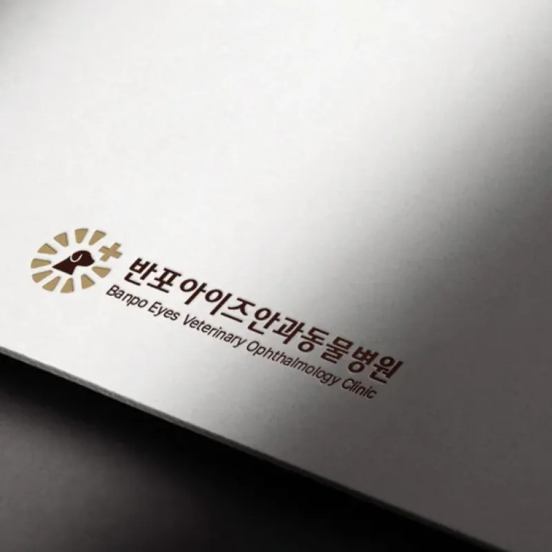 반포 아이즈 안과 동물병원